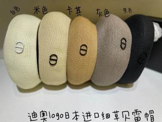 Dior Beret dxn01