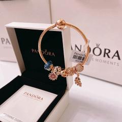 Pandora bracelet 17-21 05yxx87