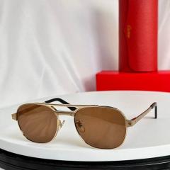 Cartier Glasses smx34
