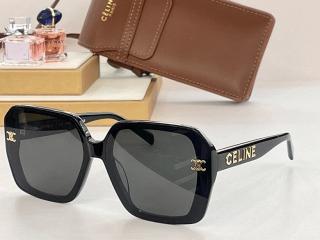 Celine Glasses smx67